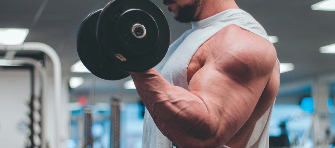 7 Anzeichen, dass dein Testosteron im Keller ist